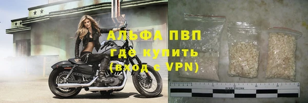 дживик Надым