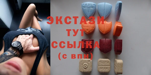 дживик Надым
