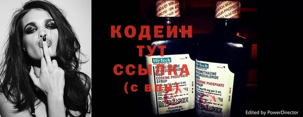 дживик Надым