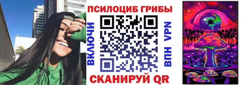 где купить наркотик  OMG рабочий сайт  Псилоцибиновые грибы мухоморы  Болохово 